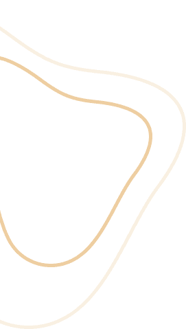 about-2-1-shape about-2-1-shape